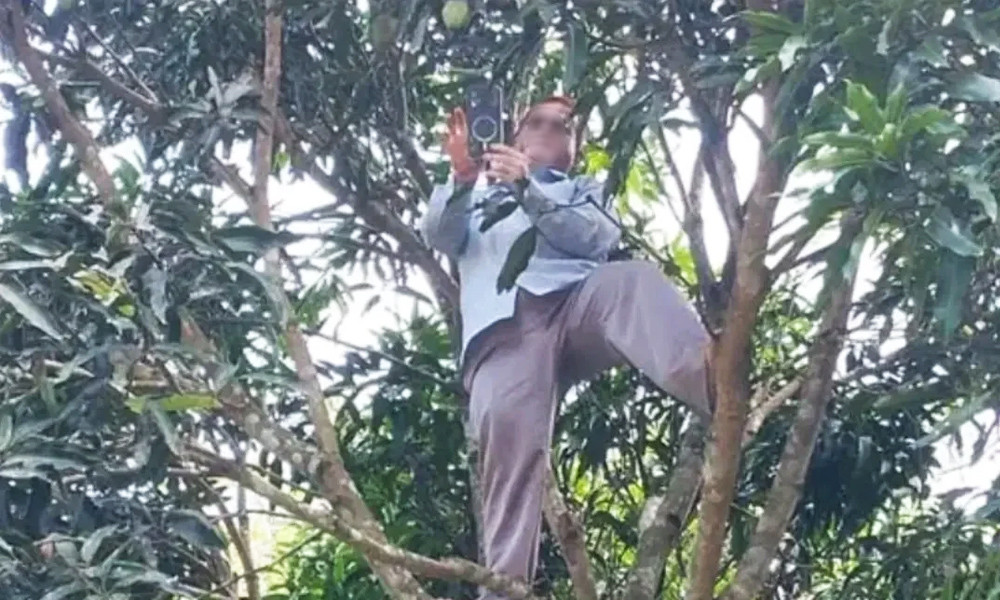পাহাড়ি বিদ্যালয়ে নেটওয়ার্ক সংকটে অনলাইন হাজিরা পাহাড়ি বিদ্যালয়ে নেটওয়ার্ক সংকটে অনলাইন হাজিরা