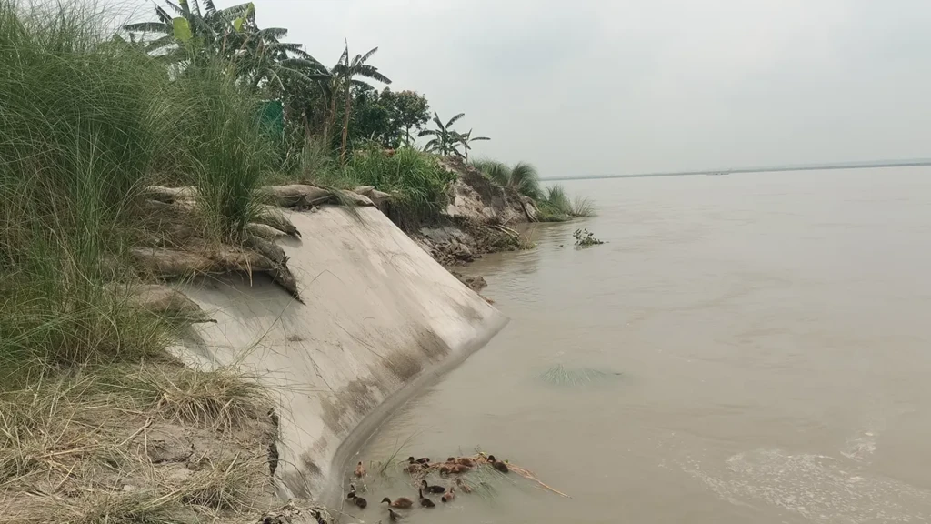 বর্ষা শুরুর আগেই যমুনা তীরে তীব্র ভাঙনের আতঙ্ক বর্ষা শুরুর আগেই যমুনা তীরে তীব্র ভাঙনের আতঙ্ক