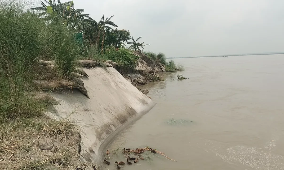 বর্ষা শুরুর আগেই যমুনা তীরে তীব্র ভাঙনের আতঙ্ক