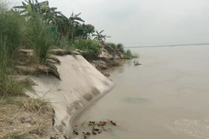বর্ষা শুরুর আগেই যমুনা তীরে তীব্র ভাঙনের আতঙ্ক