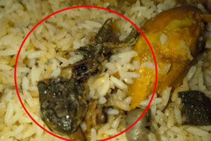মোরগ পোলাওয়ে ব্যাঙ, জরিমানায় বিরিয়ানি হাউজকে