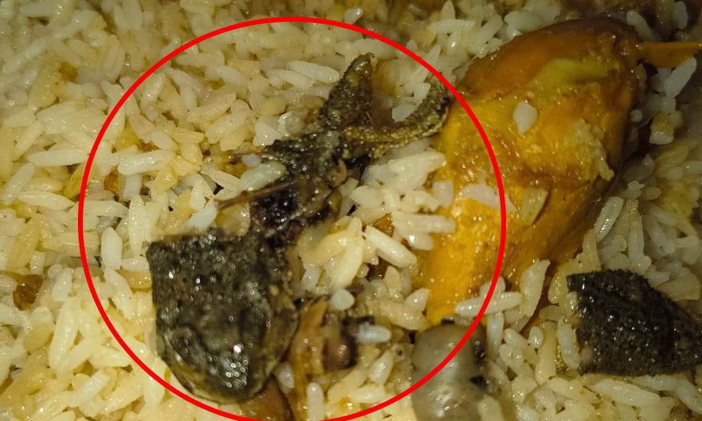 মোরগ পোলাওয়ে ব্যাঙ জরিমানায় বিরিয়ানি হাউজকে মোরগ পোলাওয়ে ব্যাঙ, জরিমানায় বিরিয়ানি হাউজকে