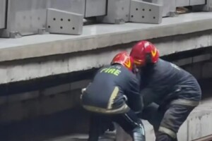 শাহবাগ স্টেশনে বিড়াল উদ্ধারের কারণে মেট্রোরেল সাময়িক বন্ধ