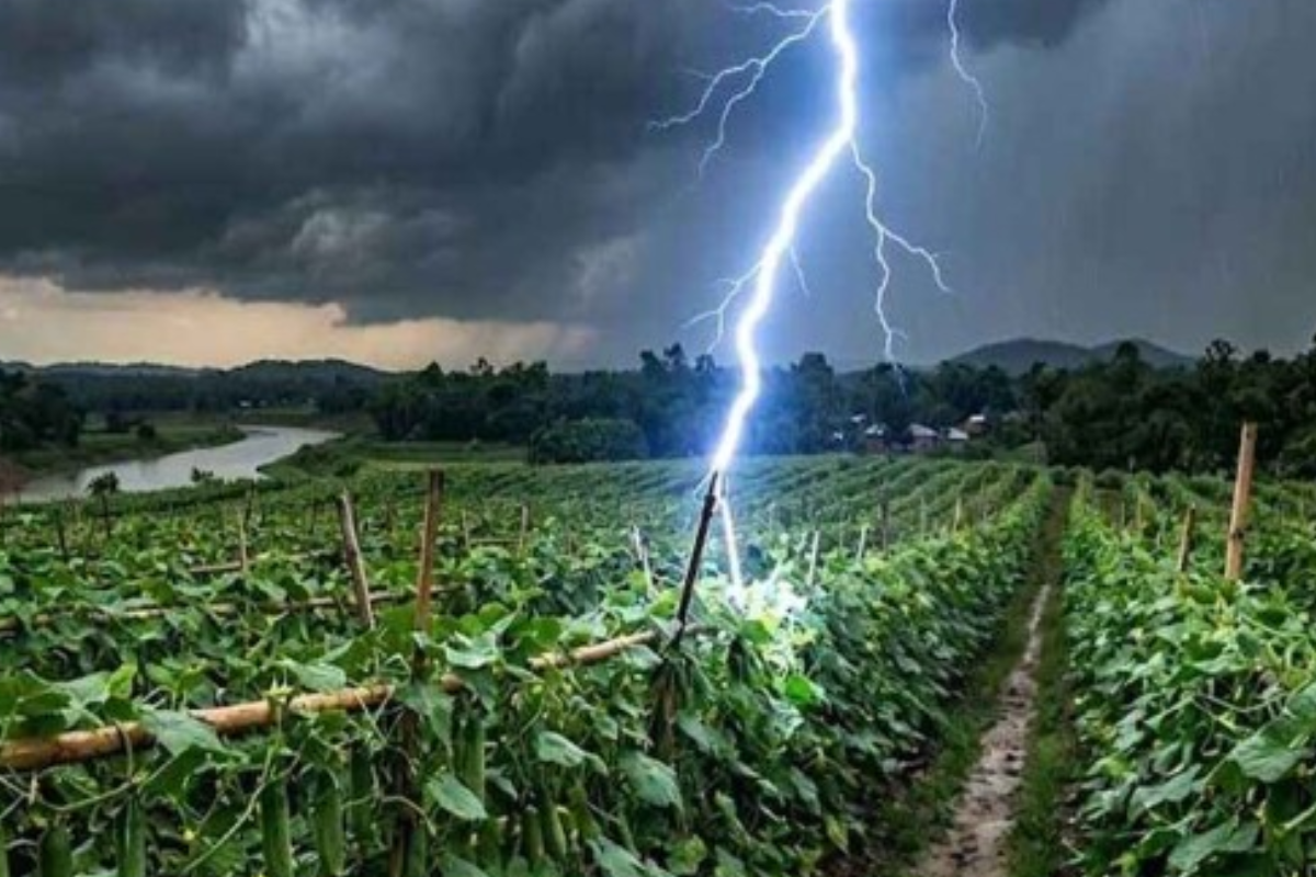 সাভারে সবজি ক্ষেতে কাজ করার সময় বজ্রপাতে ৩ কৃষকের মৃত্যু