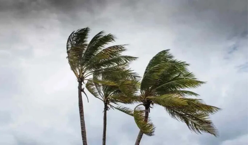 ১২ অঞ্চলে ঝোড়ো হাওয়ার পূর্বাভাস এবং নদীবন্দরে সতর্কতা জারি 3 ১২ অঞ্চলে ঝোড়ো হাওয়ার পূর্বাভাস এবং নদীবন্দরে সতর্কতা জারি
