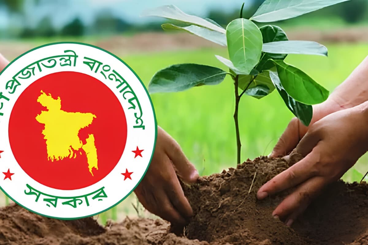 ২৫ কোটি গাছ রোপণে কার্বন ক্রেডিট থেকে বিশাল আয়ের সুযোগ