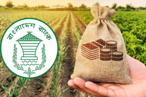 ৬০ হাজার কোটি টাকার বিশাল প্রণোদনায় ঘুরে দাঁড়াচ্ছে কৃষিখাত