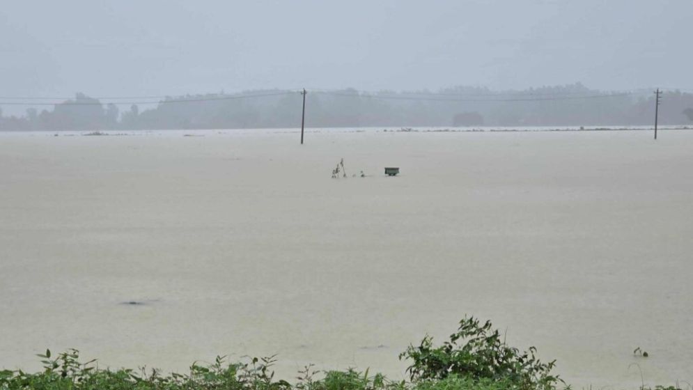 চকরিয়ায় নৌকাডুবিতে দুই বোনের মর্মান্তিক মৃত্যু চকরিয়ায় নৌকাডুবিতে দুই বোনের মর্মান্তিক মৃত্যু