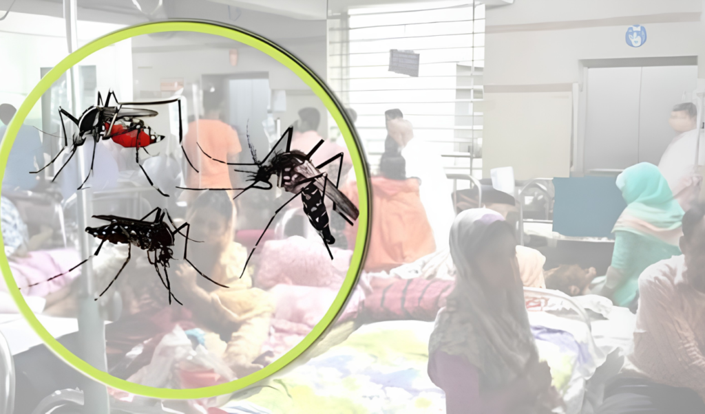 দেশে ডেঙ্গু আক্রান্তের সংখ্যা সাত হাজার ছাড়াল ২৪ ঘণ্টায় নতুন ১৯৬ দেশে ডেঙ্গু আক্রান্তের সংখ্যা সাত হাজার ছাড়াল, ২৪ ঘণ্টায় নতুন ১৯৬