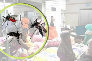 দেশে ডেঙ্গু আক্রান্তের সংখ্যা সাত হাজার ছাড়াল, ২৪ ঘণ্টায় নতুন ১৯৬