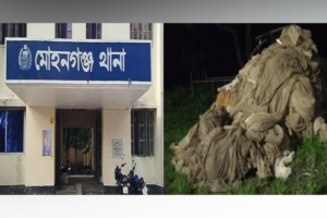 নেত্রকোনায় জব্দকৃত নিষিদ্ধ জাল ছিনতাই, ১১৬৫ জেলের বিরুদ্ধে মামলা