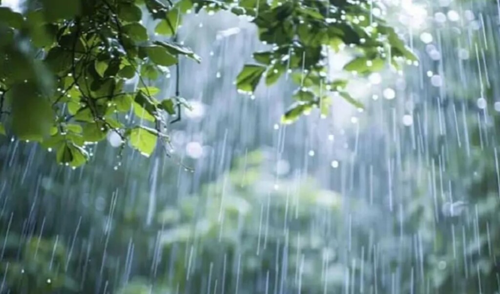 বঙ্গোপসাগরে গভীর নিম্নচাপ: আগামী পাঁচ দিন দেশজুড়ে ভারী বৃষ্টির পূর্বাভাস 3 বঙ্গোপসাগরে গভীর নিম্নচাপ আগামী পাঁচ দিন দেশজুড়ে ভারী বৃষ্টির পূর্বাভাস