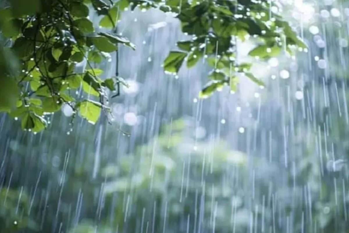 বঙ্গোপসাগরে গভীর নিম্নচাপ: আগামী পাঁচ দিন দেশজুড়ে ভারী বৃষ্টির পূর্বাভাস
