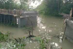 বরিশালে সরকারি বরাদ্দের ৩৫ লাখ টাকায় নির্মিত সেতুর ঢালাইকালে সাটারিং ধস