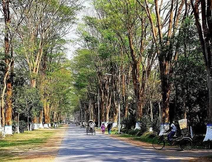 রাজশাহী বিশ্ব বিদ্যালয়