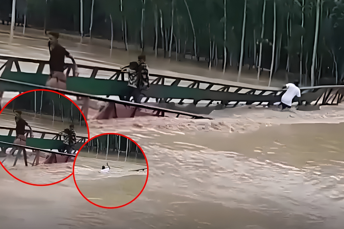 শেরপুরে পাহাড়ি ঢলে বেইলি ব্রিজ ভেঙে স্রোতে ভেসে গেলেন চারজন