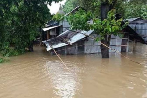 হু হু করে বাড়ছে যমুনার পানি, সিরাজগঞ্জের চরাঞ্চলে বন্যার আশঙ্কা