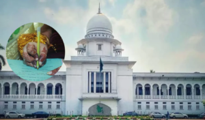 কাবিননামায় পূর্বের বিয়ে ও সন্তানের তথ্য বাধ্যতামূলক করার রিট