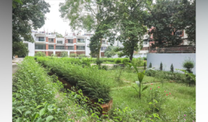 গুলশানে ওয়াসার ১১৪ কাঠা জমি নিয়ে প্রশ্নবিদ্ধ তৎপরতা