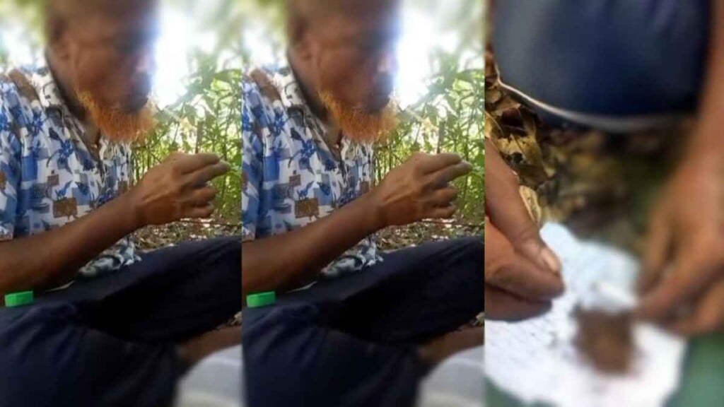 ফেসবুকে বিএনপি নেতার গাঁজা ইয়াবা সেবনের ভিডিও ভাইরাল ফেসবুকে বিএনপি নেতার গাঁজা-ইয়াবা সেবনের ভিডিও ভাইরাল