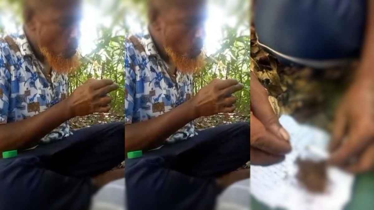 ফেসবুকে বিএনপি নেতার গাঁজা-ইয়াবা সেবনের ভিডিও ভাইরাল