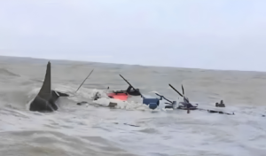 বঙ্গোপসাগরে ট্রলারডুবি নিখোঁজ পাঁচ জেলের লাশ উদ্ধার