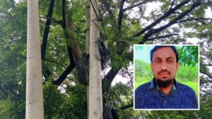 বিদ্যুৎ সংযোগের নামে অর্থ আদায়ের অভিযোগ কলাপাড়ায় বিদ্যুৎ সংযোগের নামে অর্থ আদায়ের অভিযোগ কলাপাড়ায়