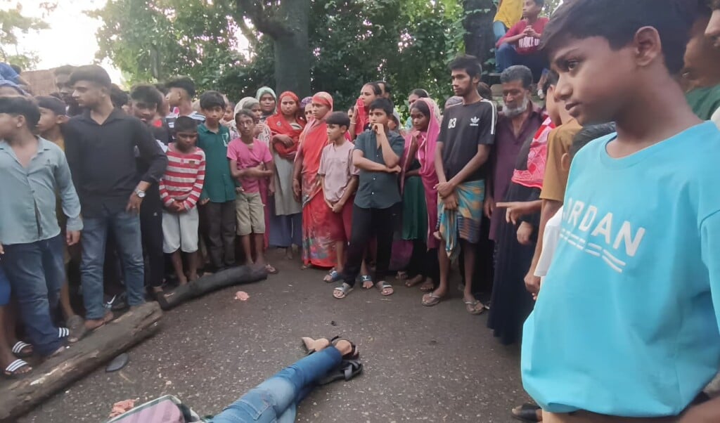 মানিকগঞ্জে হরিরামপুর ট্রাকচাপায় এনজিওকর্মী নিহত মানিকগঞ্জে হরিরামপুর ট্রাকচাপায় এনজিওকর্মী নি*হ*ত