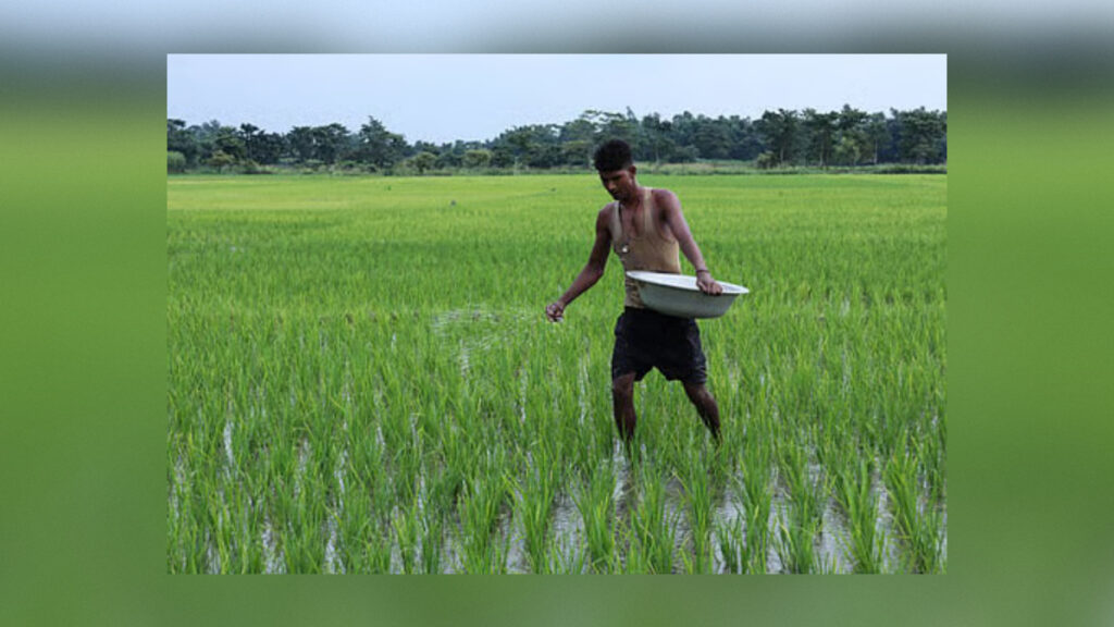রাজশাহীর চাষিদের জন্য বরাদ্দ হলো ১০৪৫ টন টিএসপি 3 রাজশাহীর চাষিদের জন্য বরাদ্দ হলো ১০৪৫ টন টিএসপি