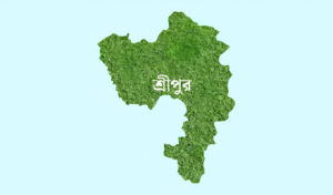 শ্রীপুরে স্বামী-স্ত্রীর ঝগড়া মেটাতে গিয়ে জামাইয়ের লাঠির আঘাতে শ্বশুরের মৃত্যু