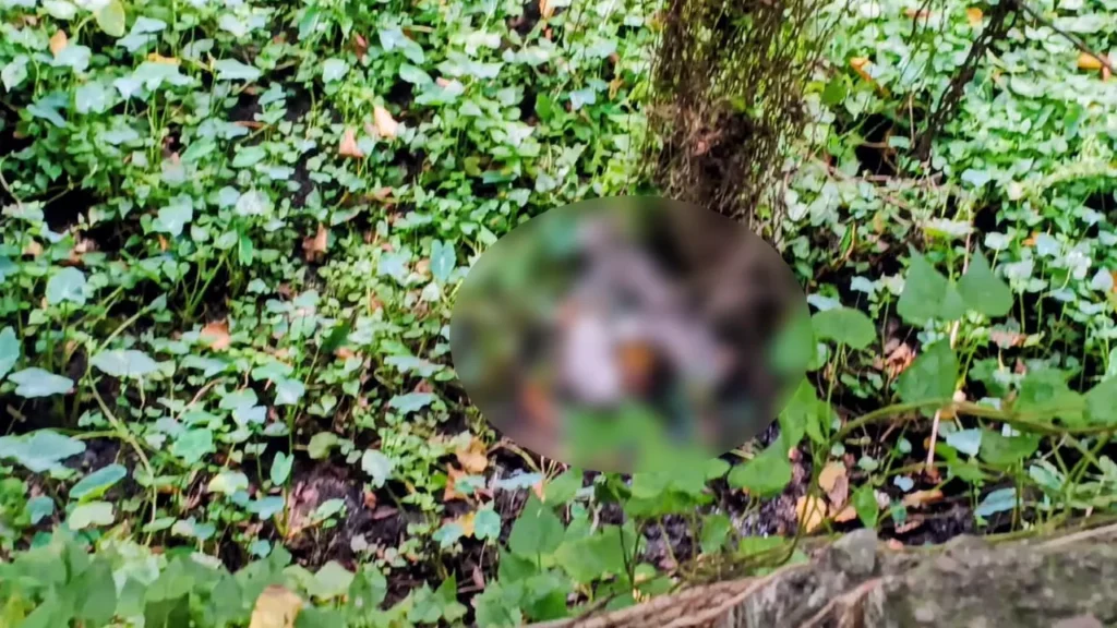 কাঁচপুরে ডোবা থেকে বস্তাবন্দি ব্যবসায়ীর মরদেহ উদ্ধার 3 কাঁচপুরে ডোবা থেকে বস্তাবন্দি ব্যবসায়ীর মরদেহ উদ্ধার