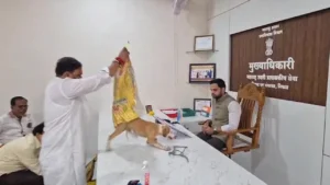কুকুরের উৎপাত ঠেকাতে কর্মকর্তার টেবিলে ছেড়ে দেওয়া হলো কুকুর