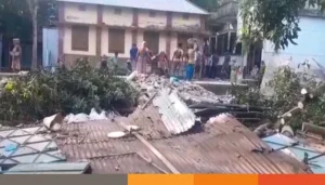 কেরানীগঞ্জে সীমানা বিরোধে বাড়ি ভাঙচুর, গাছ কাটার অভিযোগ