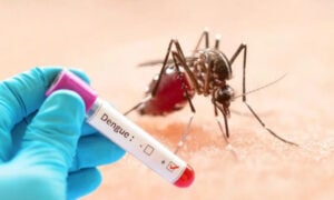ডেঙ্গুতে আরও ২ মৃত্যু, হাসপাতালে ভর্তি ১০৫৬