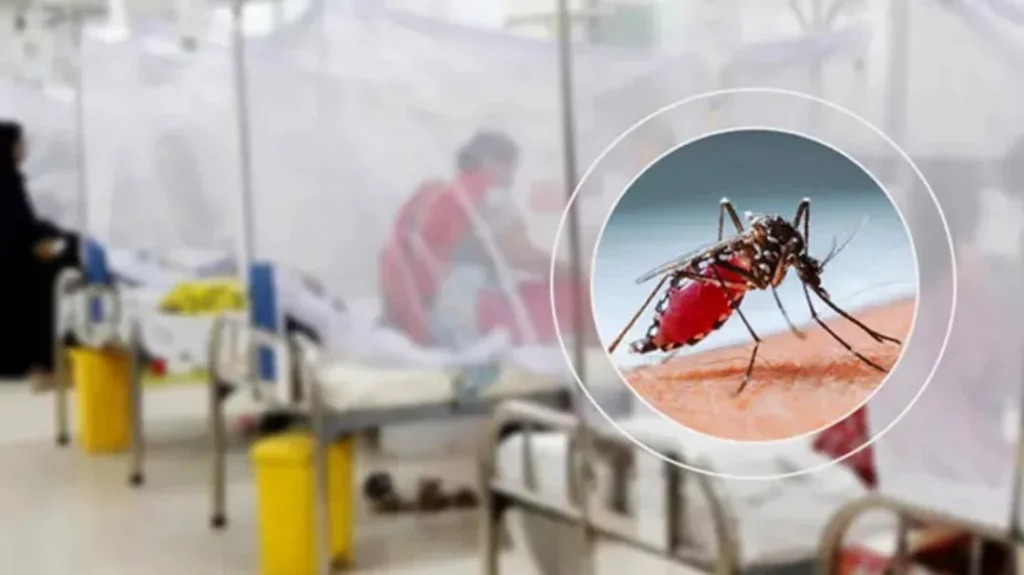 ডেঙ্গুতে আরও ২ মৃত্যু, হাসপাতালে ভর্তি ১,২৩২ 3 ডেঙ্গুতে আরও ২ মৃত্যু, হাসপাতালে ভর্তি ১,২৩২