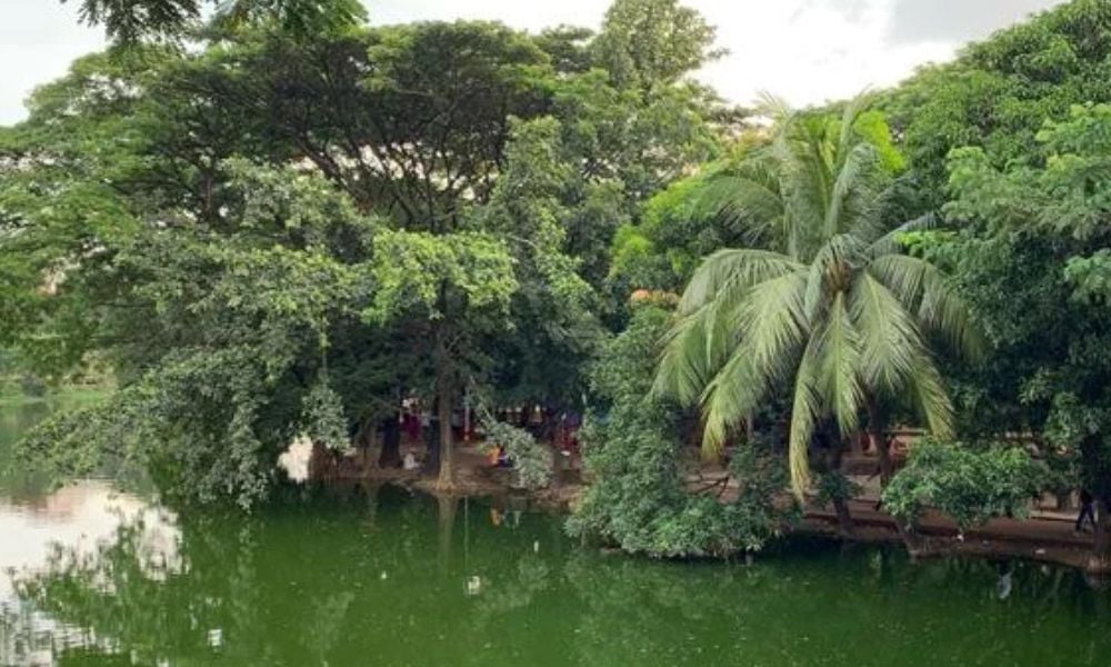 ধানমণ্ডি লেক থেকে জাবেদের মরদেহ উদ্ধার 3 ধানমণ্ডি লেক থেকে জাবেদের মরদেহ উদ্ধার