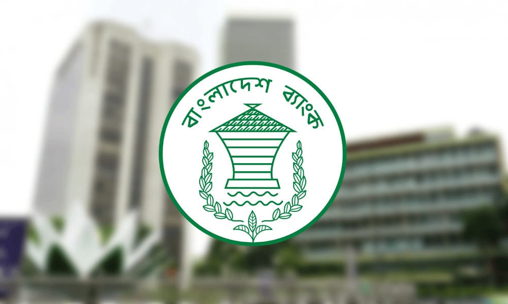 ধীর পুনরুদ্ধারের পথে বাংলাদেশ, বাড়ছে অর্থনৈতিক ঝুঁকি 3 ধীর পুনরুদ্ধারের পথে বাংলাদেশ, বাড়ছে অর্থনৈতিক ঝুঁকি