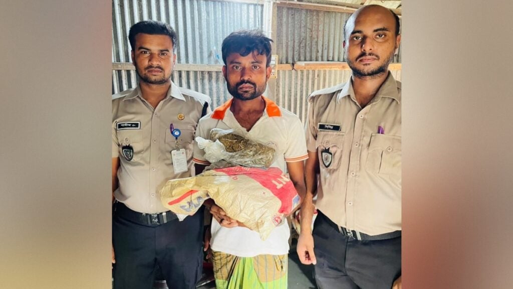 মানিকগঞ্জে অভিযান চালায় দুই কেজি গাঁজাসহ মাদক ব্যবসায়ী আশিক গ্রেফতার 3 মানিকগঞ্জে অভিযান চালায় দুই কেজি গাঁজাসহ মাদক ব্যবসায়ী আশিক গ্রেফতার