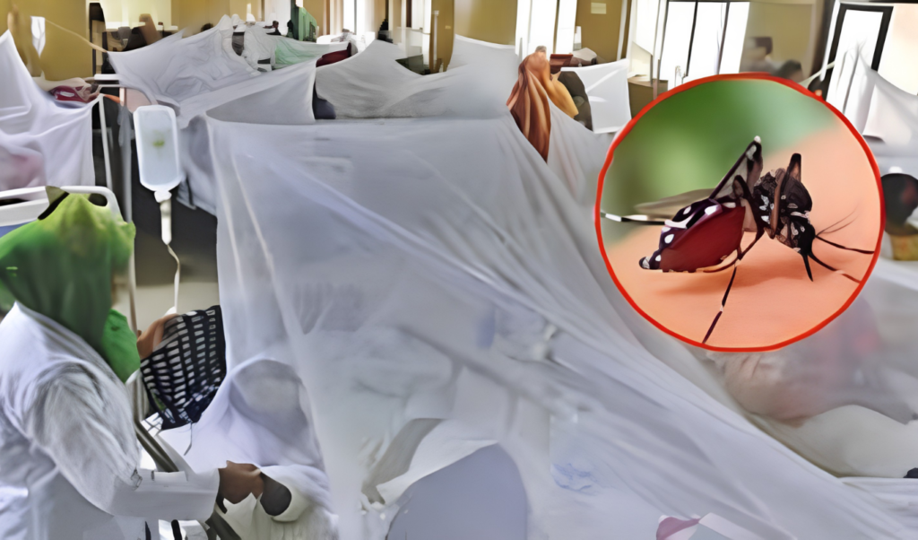 মানিকগঞ্জে ডেঙ্গুর প্রকোপ অব্যাহত: ২৪ ঘণ্টায় নতুন ৩৩ জন আক্রান্ত 3 মানিকগঞ্জে ডেঙ্গুর প্রকোপ অব্যাহত ২৪ ঘণ্টায় নতুন ৩৩ জন আক্রান্ত