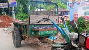 মায়ের হাত ধরে রাস্তা পার হওয়ার সময় ট্রলির ধাক্কায় শিশু নিহত মায়ের হাত ধরে রাস্তা পার হওয়ার সময় ট্রলির ধাক্কায় শিশু নিহত