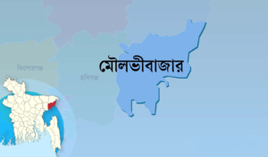 মৌলভীবাজারে বাস ও অটোরিকশার মুখোমুখি সংঘর্ষে প্রাণ গেল ৩ জনের