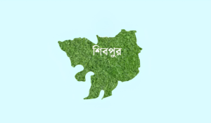 শিবপুরে নদীতে ডুবে জামাই, মেয়ে ও নাতিসহ নিখোঁজ ৪