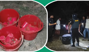 চাঁপাইনবাবগঞ্জে লেবুর বাগানে মিলল তিনটি বালতি ভর্তি ১৭ ককটেল