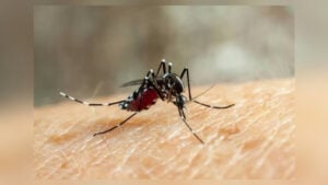 ডেঙ্গুতে প্রাণ গেল ৪ জনের, হাসপাতালে ভর্তি ১১৮১