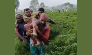 দৌলতপুর সীমান্তে বিএসএফের গুলিতে বাংলাদেশি আহত, বিজিবির পাল্টা ফায়ার