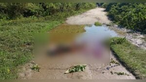 ধানখেত পাহারা দিতে গিয়ে প্রাণ গেল কৃষকের, বিচ্ছিন্ন দুই হাত