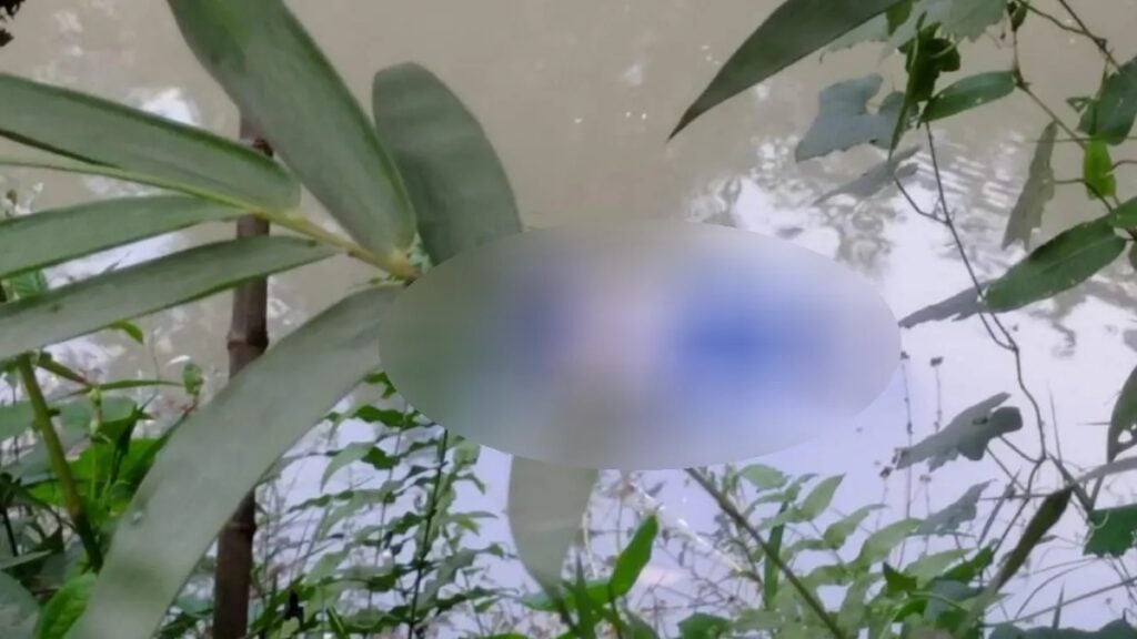 ধামরাইয়ে পুকুরে মিলল গৃহবধূর ভাসমান মরদেহ 3 ধামরাইয়ে পুকুরে মিলল গৃহবধূর ভাসমান মরদেহ