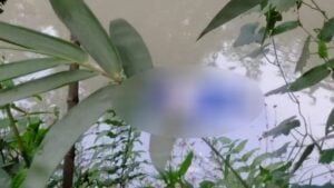 ধামরাইয়ে পুকুরে মিলল গৃহবধূর ভাসমান মরদেহ