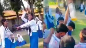 নাটোরে বিদ্যালয়ের মাঠে মদের বোতল হাতে শিক্ষার্থীদের নাচ, ভিডিও ভাইরাল