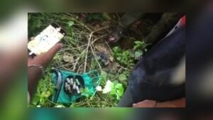 পরিত্যক্ত জুট মিলে মিলল লুট হওয়া কার্তুজ